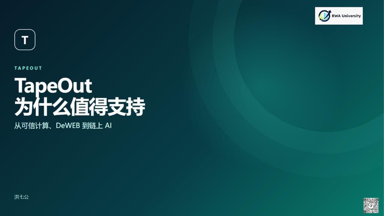 《TapeOut 为什么值得支持》第 1 页