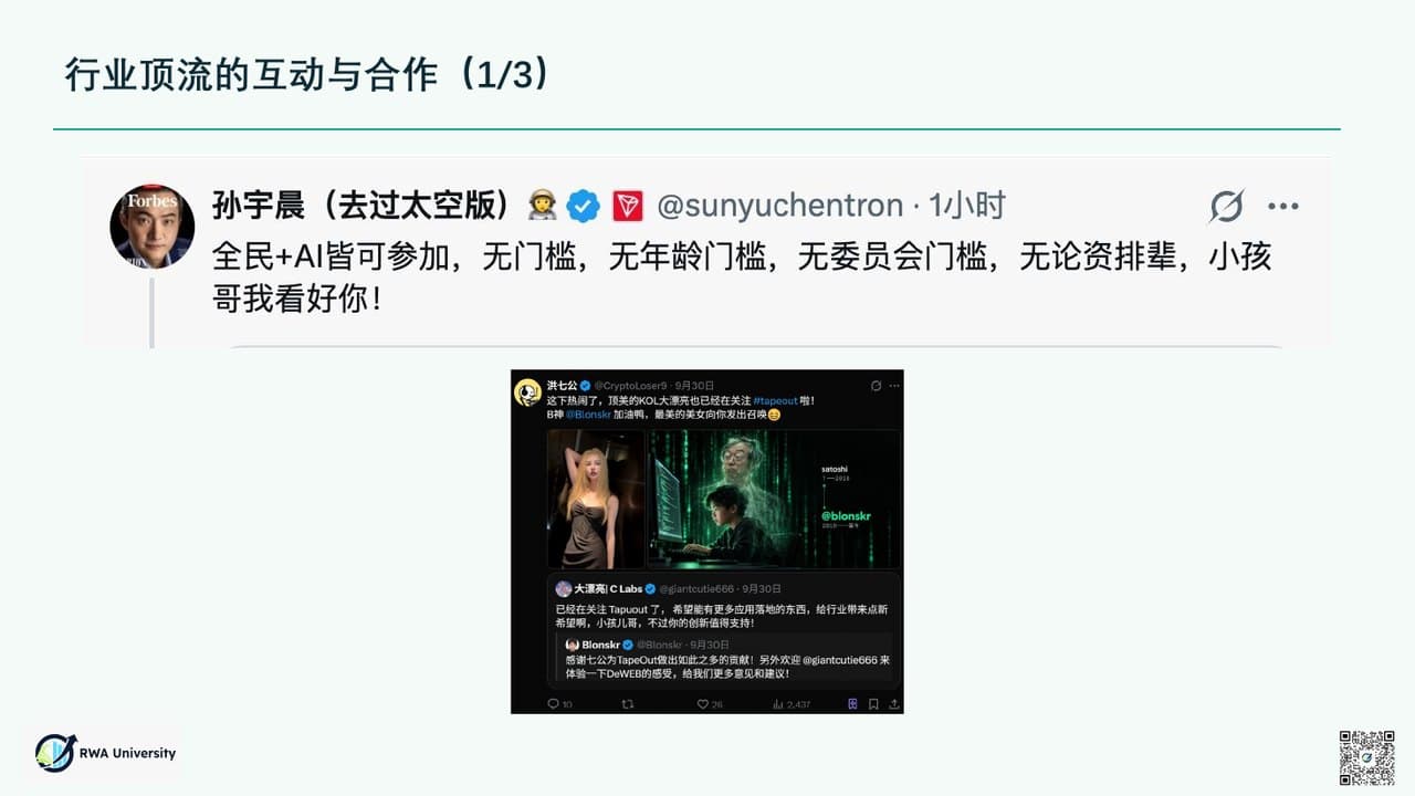 《TapeOut 为什么值得支持》第 5 页