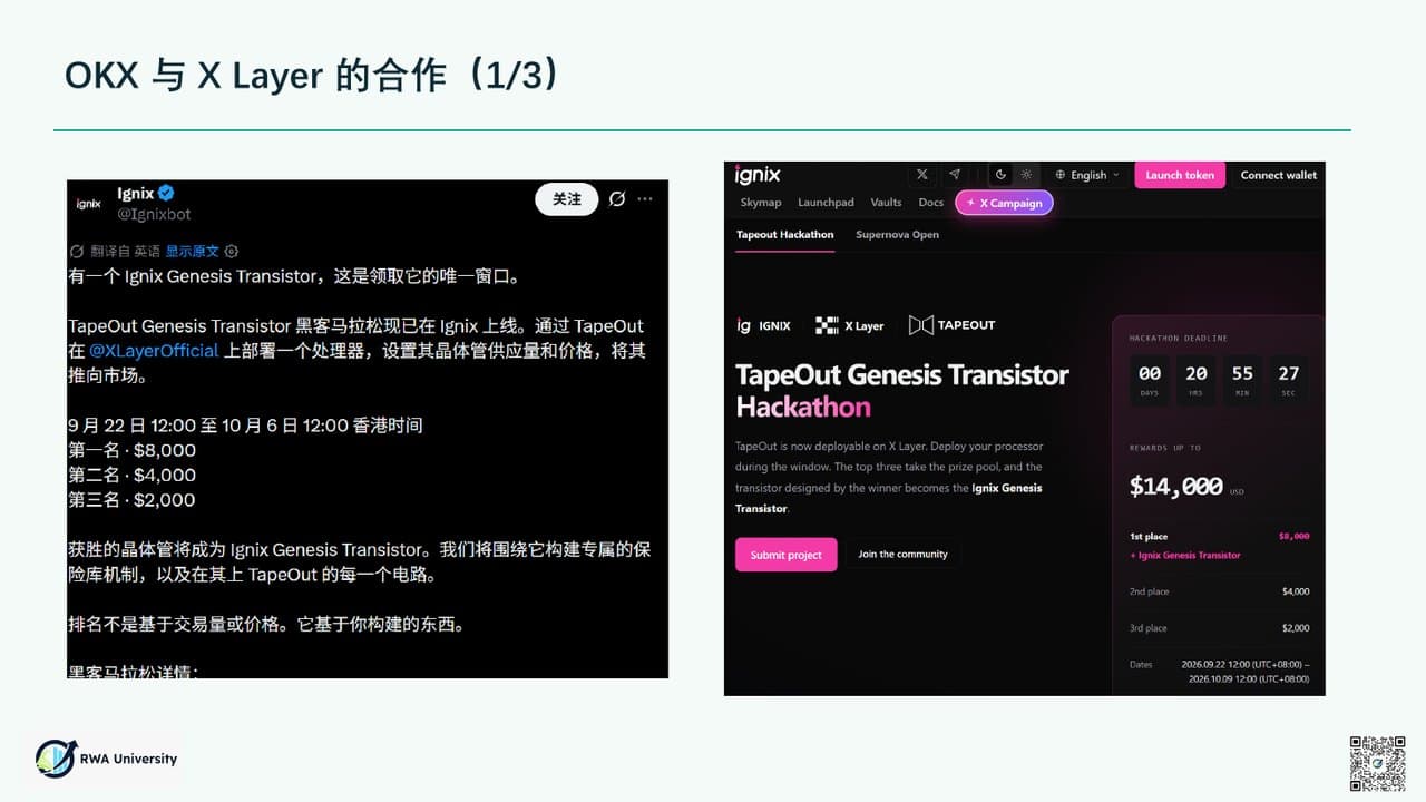 《TapeOut 为什么值得支持》第 8 页