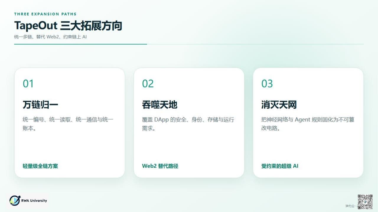《TapeOut 为什么值得支持》第 19 页