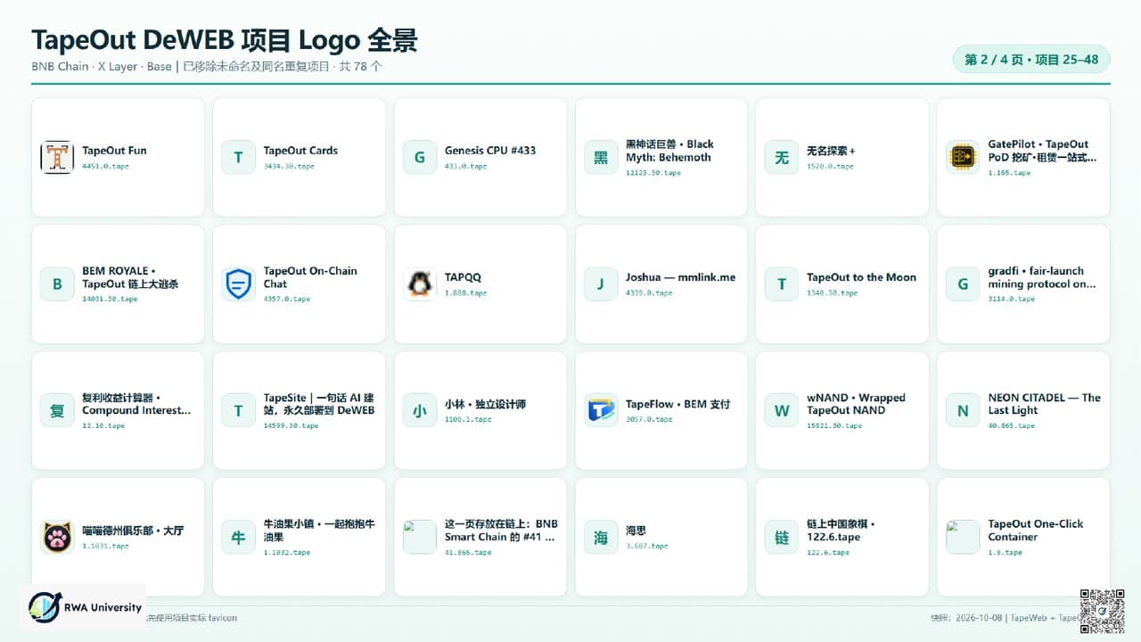 《TapeOut 为什么值得支持》第 29 页